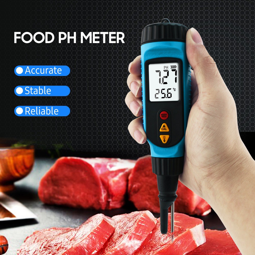 food ph meter